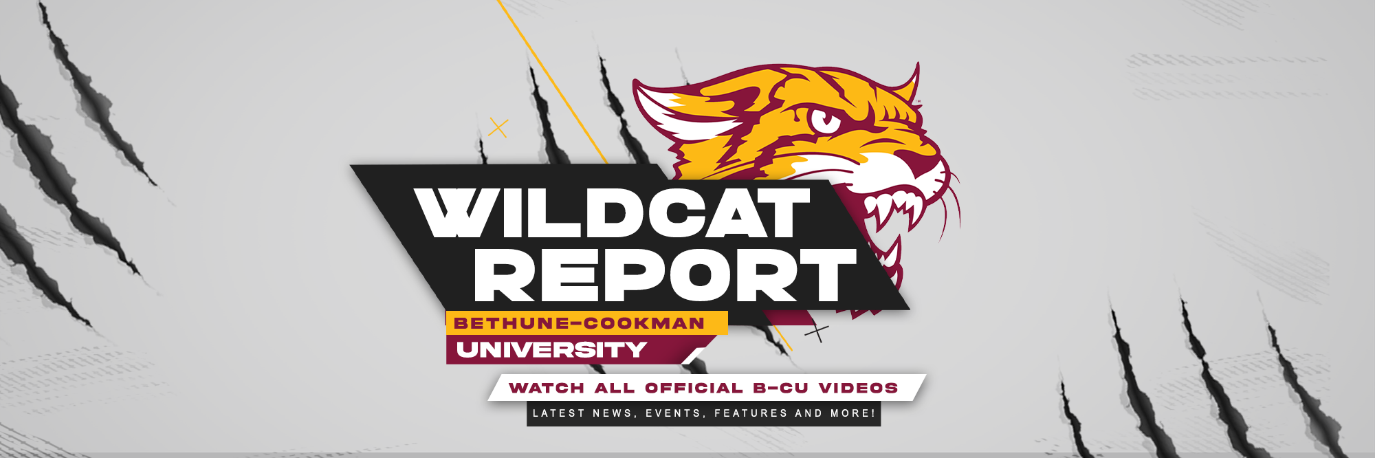 Wildcat report